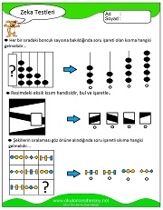 Zeka Gelişim Testleri